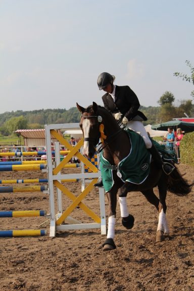 Competition Marginal Gains